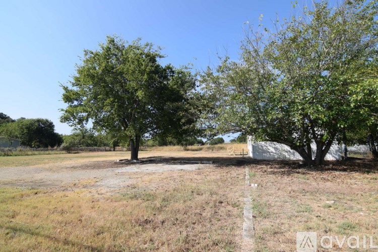 Two trees in a field with a white fence in the background.