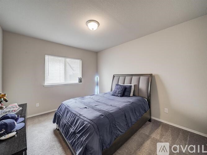 2218 Maplewood Drive 4 Beds Single Family Home for Rent - Photo Gallery 28