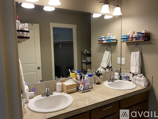 A bathroom with a double sink and a large mirror.