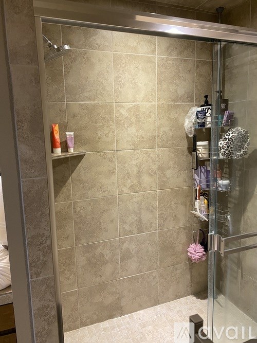 A shower with a glass door and a shelf with bathroom products.