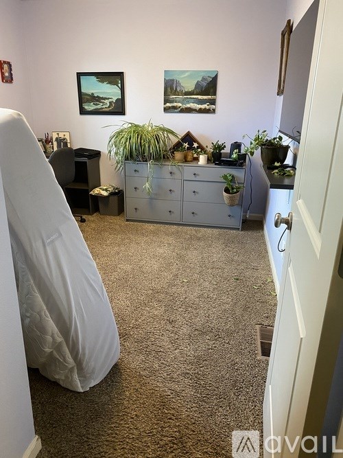 A room with a carpeted floor and a white door.