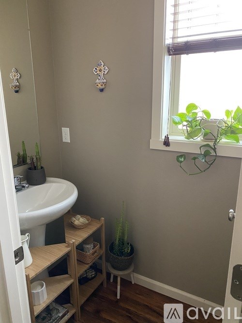 A bathroom with a sink, a window with a plant on it, and a shelf with a plant on it.