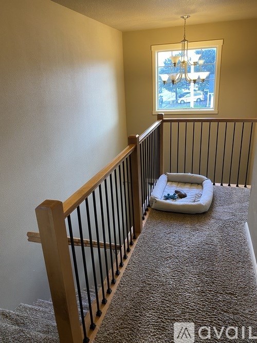 A carpeted stairway with a black railing and a window with a chandelier.