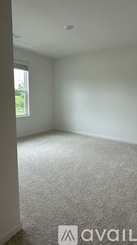 A room with a carpeted floor and a window.