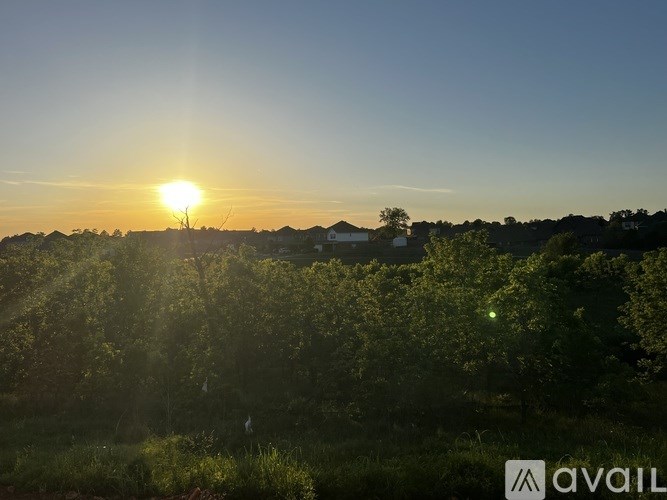The sun is setting behind a tree-filled landscape.