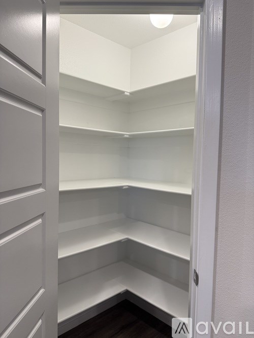 Empty white shelves in a pantry.
