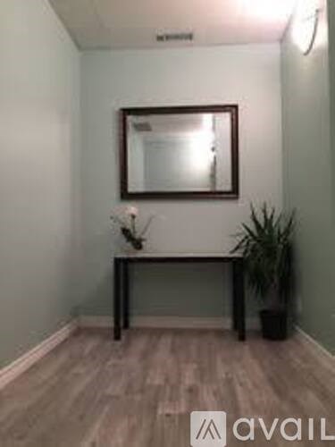 A room with a mirror, a table, and a plant.