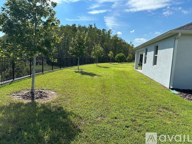 A white house with a black fence and a tree in the yard.