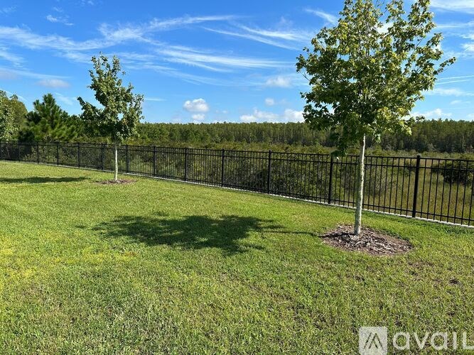 A black fence encloses a grassy area with two trees.