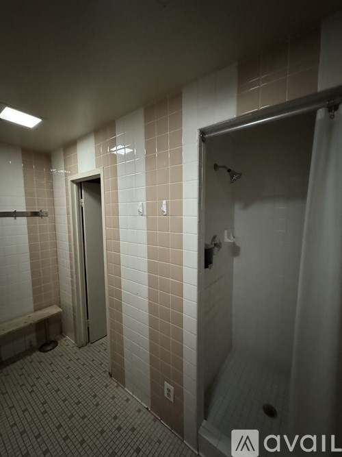 A bathroom with a shower and a toilet.