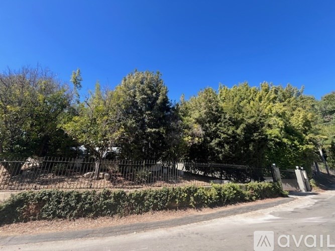 A tree-lined street with a fence and a hedge.