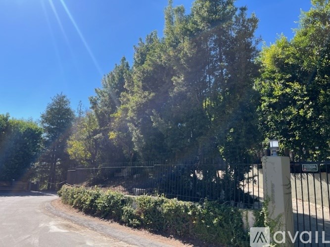A sunny day with a fence and greenery in the foreground.