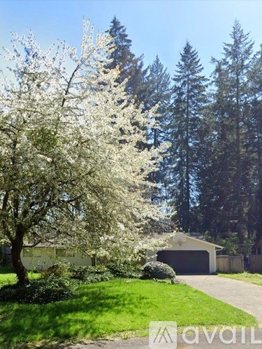 A tree with white blossoms is in the foreground of a house with a driveway and a fence.