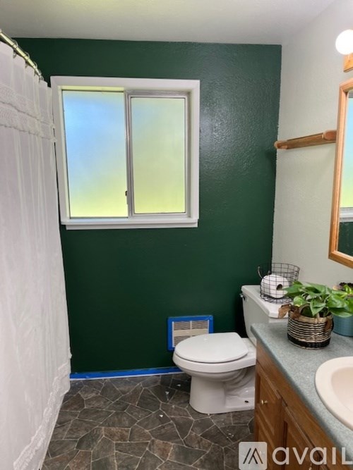 A bathroom with green walls and a white toilet.