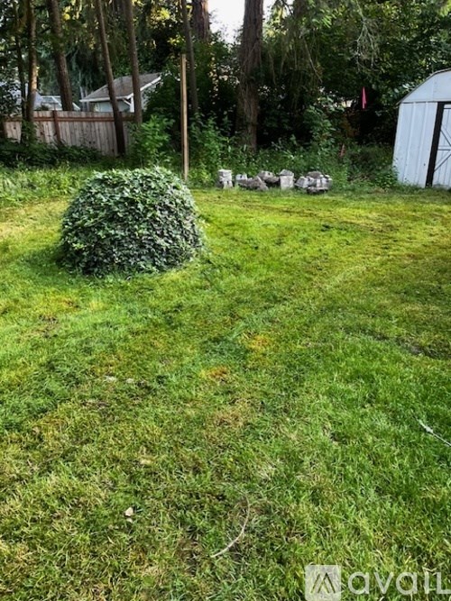 A green lawn with a hedge in the middle and a white shed in the background.