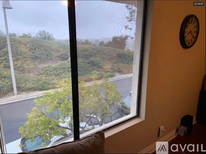 A window with a view of a tree and a car on the road outside.