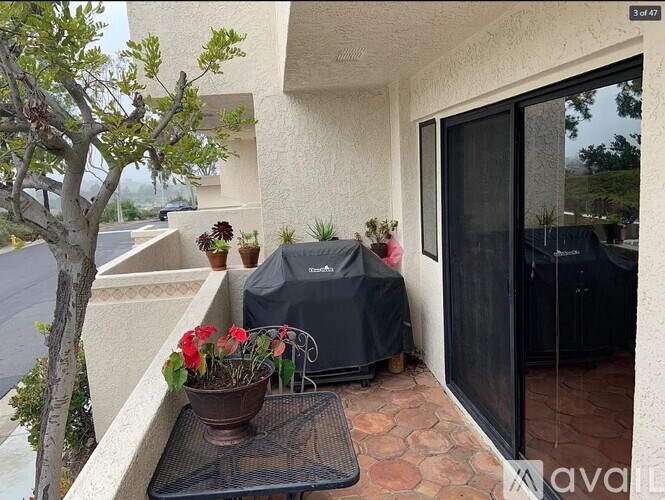 A patio with a table, chairs, and a potted plant.