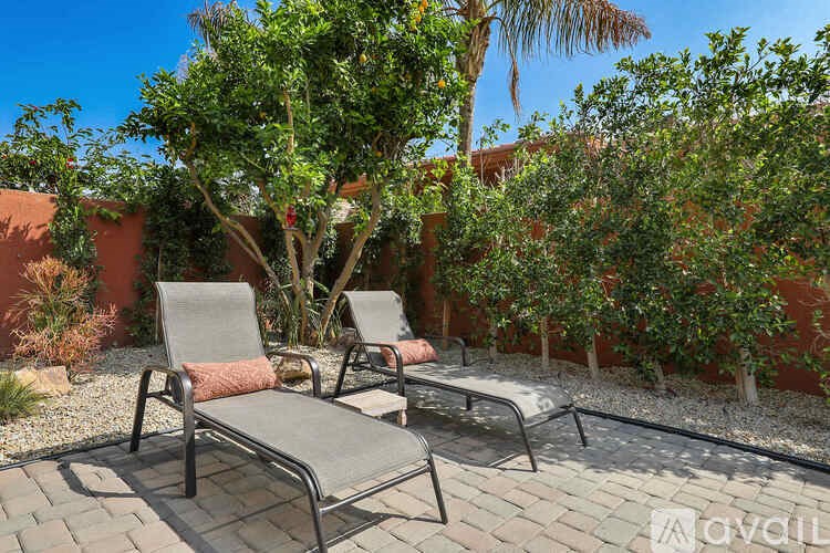 Two chairs are placed on a patio with a tree in the background.