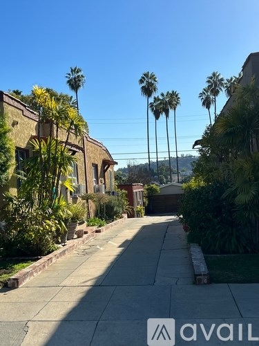 A sunny day in a quiet residential street lined with palm trees.