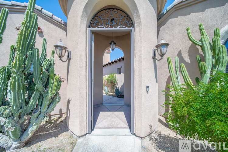 A cactus is in front of a doorway.