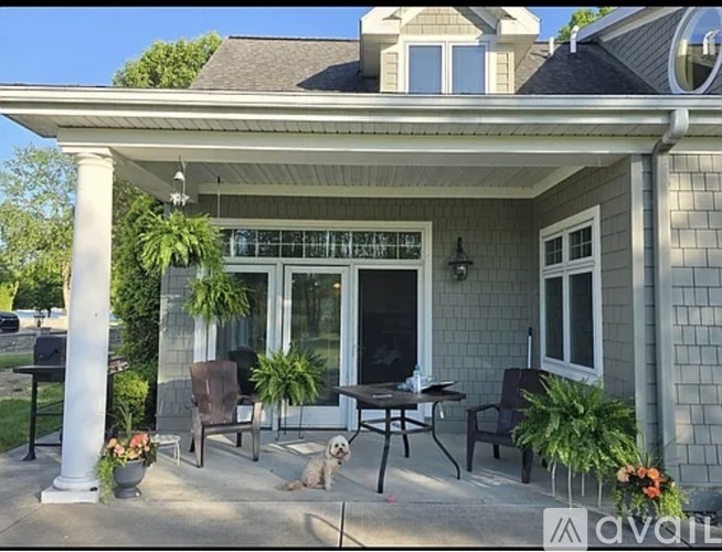 A house with a porch and a dog.