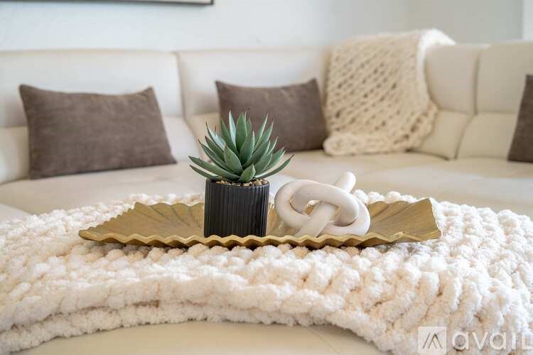 A small potted plant sits on a tray on a white couch.