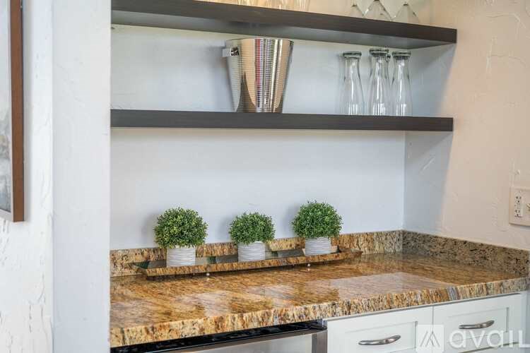 A kitchen counter with a row of small plants on it.
