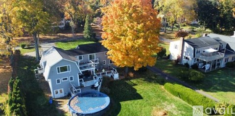 A house with a pool surrounded by trees.