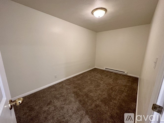 A room with carpeted floor and a ceiling light.