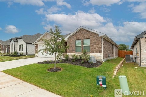 A residential area with houses and a tree in the front yard.
