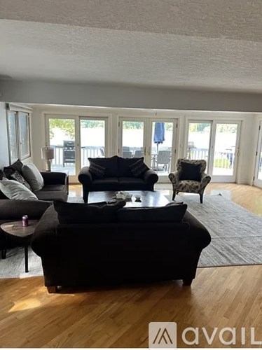 A living room with a black couch and a cat on a grey rug.