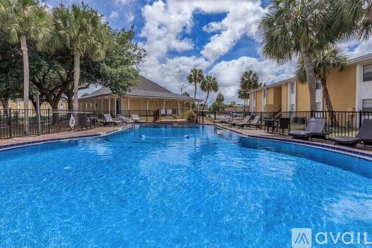 A large swimming pool surrounded by palm trees and lounge chairs.