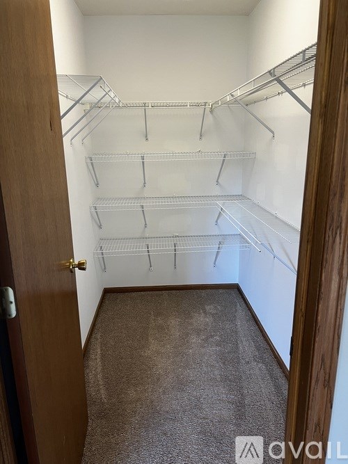 Empty walk-in closet with brown carpeting.