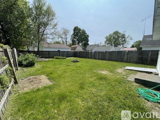 A backyard with a green hose and a wooden fence.