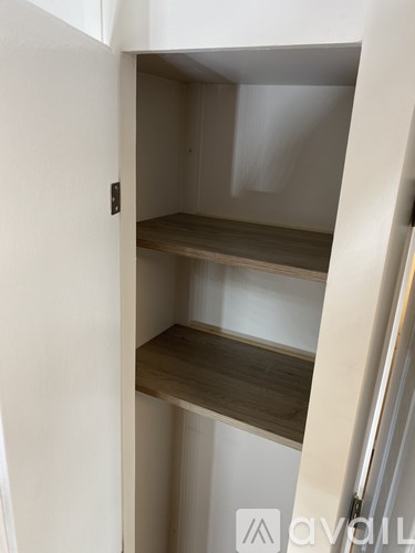 A white door is open to reveal a small pantry with two shelves.