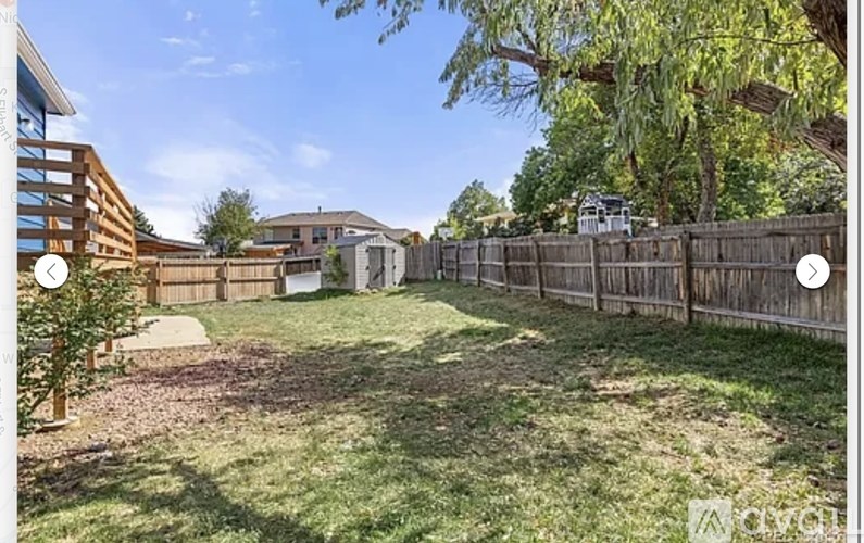 A backyard with a wooden fence and a tree.