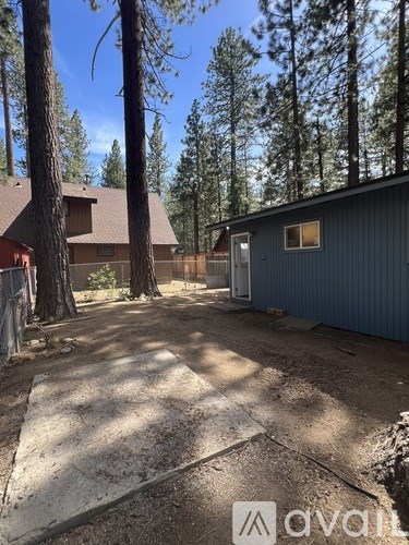 A backyard with a shed and trees.