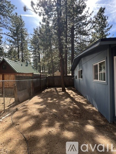 A backyard with a fence and a shed.