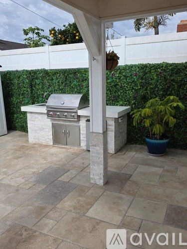 A patio with a grill and a potted plant.