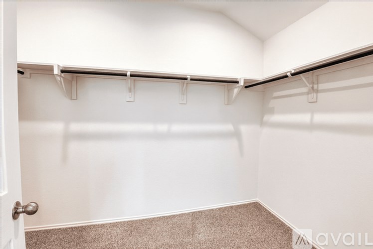 Empty walk-in closet with white walls and carpeted floor.