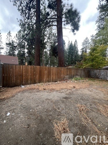 A backyard with a wooden fence and trees in the background.
