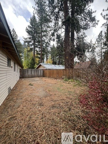 A backyard with a fence and trees.