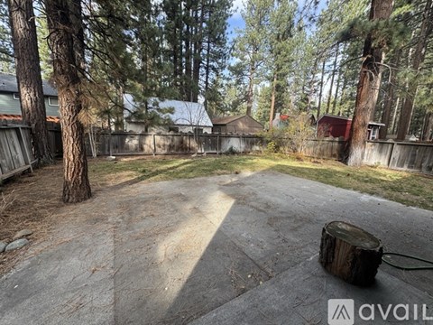 A backyard with a tree stump and a hose.
