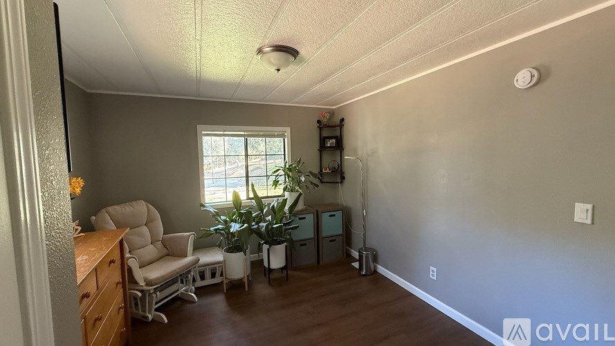 A room with a chair, a plant, and a cabinet.
