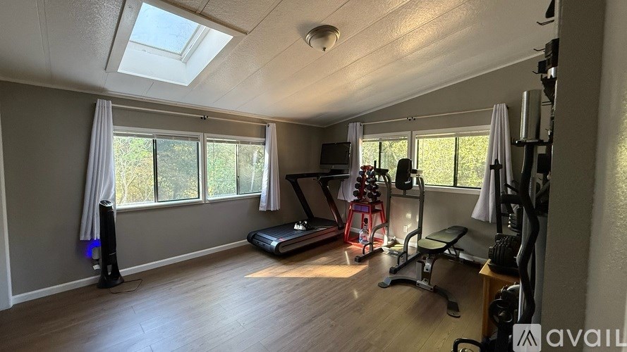 A room with a treadmill and exercise equipment.