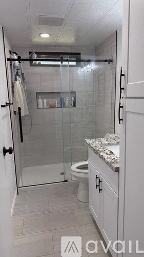 A bathroom with a walk-in shower and a toilet.