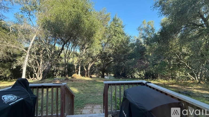 A balcony with a black cloth and a logo on it overlooks a green, tree-filled area.