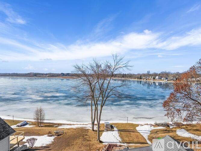 A tree stands in front of a frozen lake.