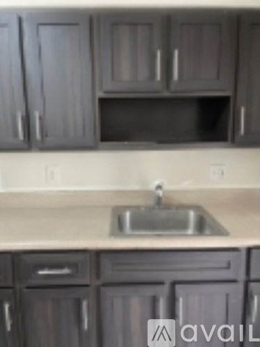A kitchen with a sink and cabinets.