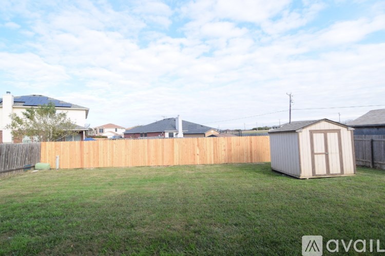 A backyard with a wooden fence and a shed.